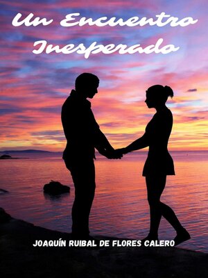 cover image of Un Encuentro Inesperado